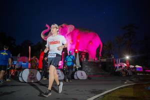 BIB: 
                            <button type="button" onclick="openModal(26551758)" class="btn btn-primary btn-sm float-right btn-popup" data-toggle="modal" data-target=".modal-high-quality">
                        <i class="fas fa-shopping-cart"></i> Add to Cart
                    </button>
                                            <button type="button" onclick="isThisMe(26551758, true)" class="btn btn-success btn-sm float-right btn-popup btn-isme hidden" data-toggle="tooltip" data-placement="bottom" title="นี่คือรูปของคุณใช่ไหม คลิกที่นี่เพื่อเอาเข้าอัลบั้ม">
                        <i class="fas fa-plus"></i> Add to album
                    </button>
                    <button type="button" onclick="isThisMe(26551758, false)" class="btn btn-warning btn-sm float-right btn-popup btn-isnotme hidden">
                        <i class="fas fa-ban"></i> Remove from album
                    </button>